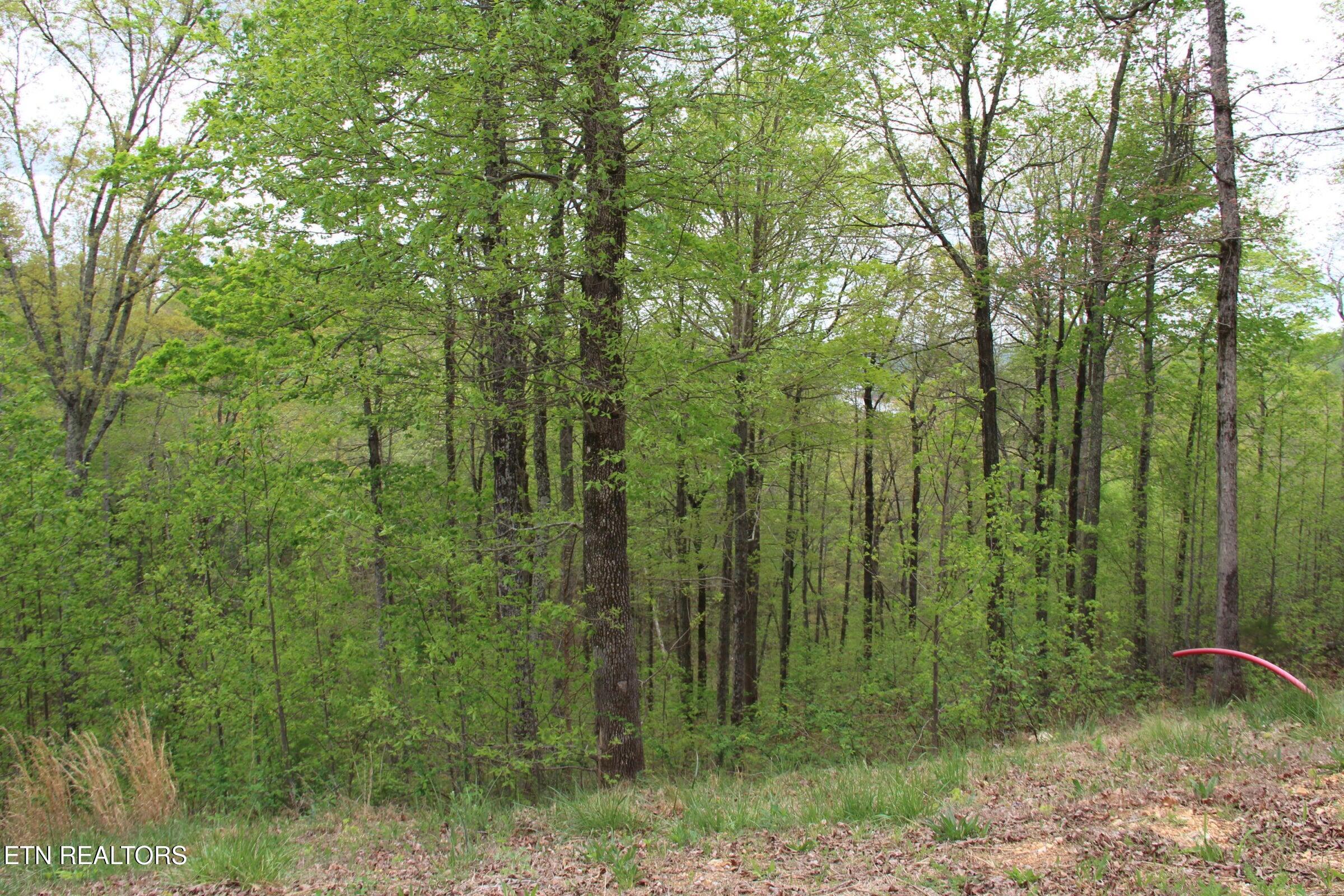 Hickory Way Lafollette TN 37766