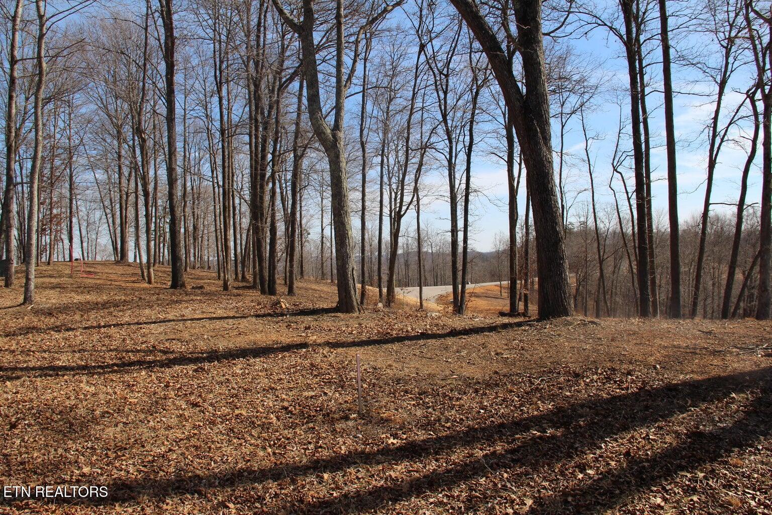 Hickory Way Lafollette TN 37766