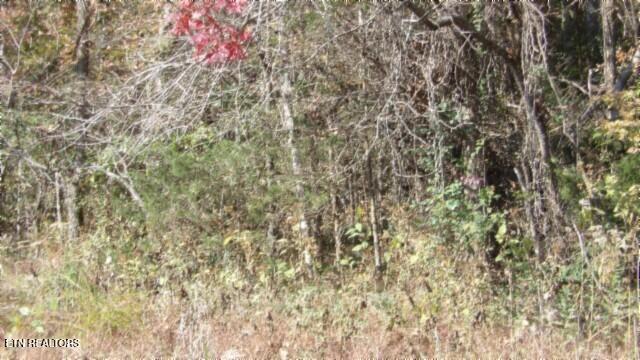 8.60AC Moss Arcot Road Celina TN 38551