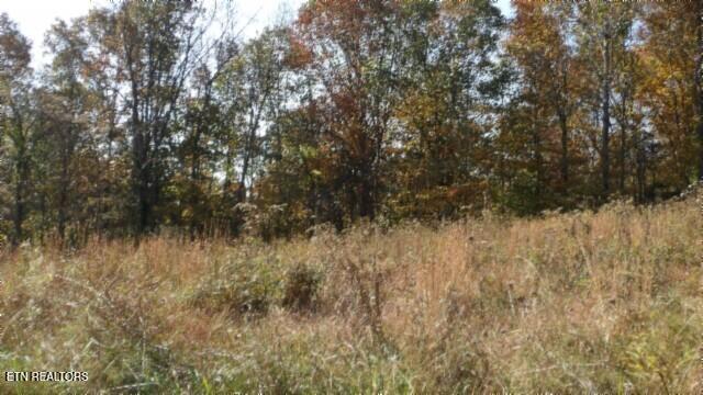 8.60AC Moss Arcot Road Celina TN 38551