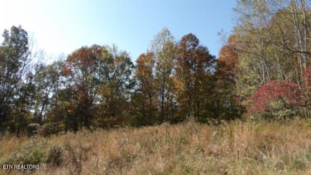 8.60AC Moss Arcot Road Celina TN 38551
