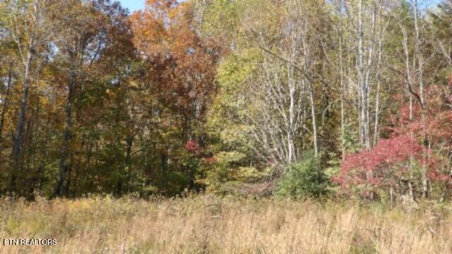8.60AC Moss Arcot Road Celina TN 38551