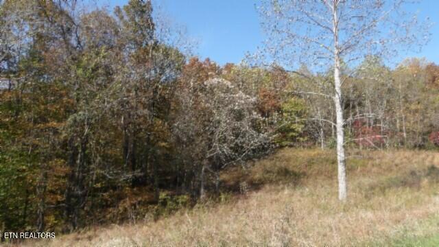 8.60AC Moss Arcot Road Celina TN 38551