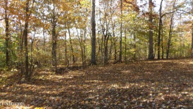 8.60AC Moss Arcot Road Celina TN 38551