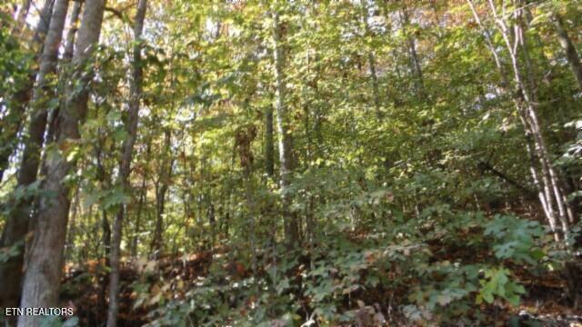 8.60AC Moss Arcot Road Celina TN 38551