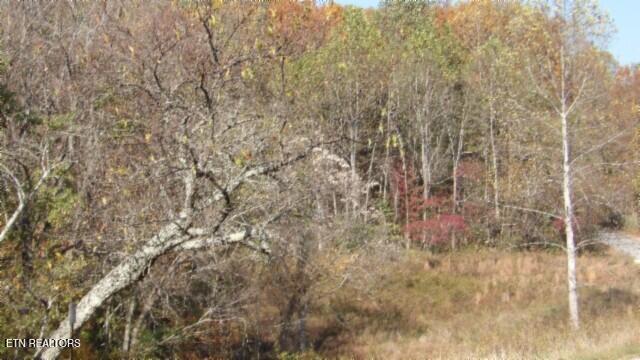 8.60AC Moss Arcot Road Celina TN 38551