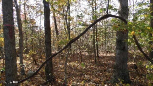 8.60AC Moss Arcot Road Celina TN 38551