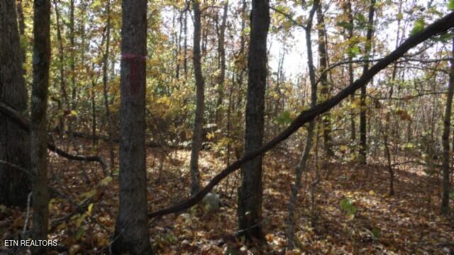 8.60AC Moss Arcot Road Celina TN 38551