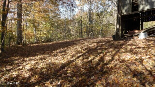 8.60AC Moss Arcot Road Celina TN 38551