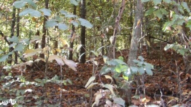 8.60AC Moss Arcot Road Celina TN 38551
