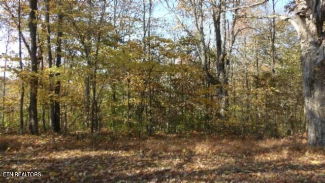 8.60AC Moss Arcot Road Celina TN 38551
