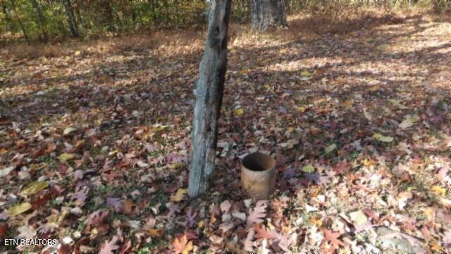 8.60AC Moss Arcot Road Celina TN 38551
