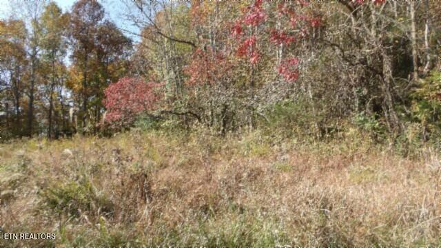 8.60AC Moss Arcot Road Celina TN 38551