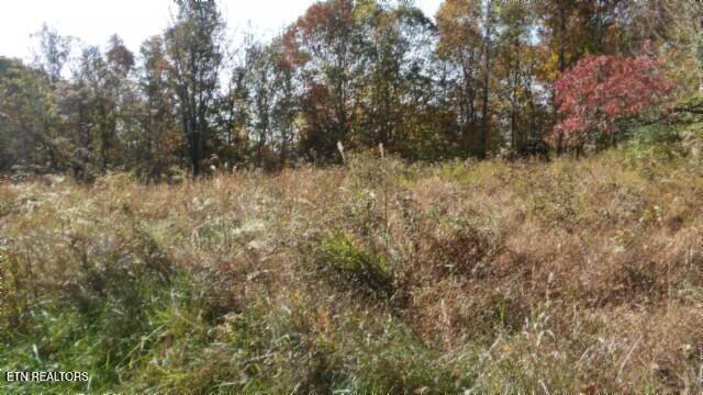 8.60AC Moss Arcot Road Celina TN 38551