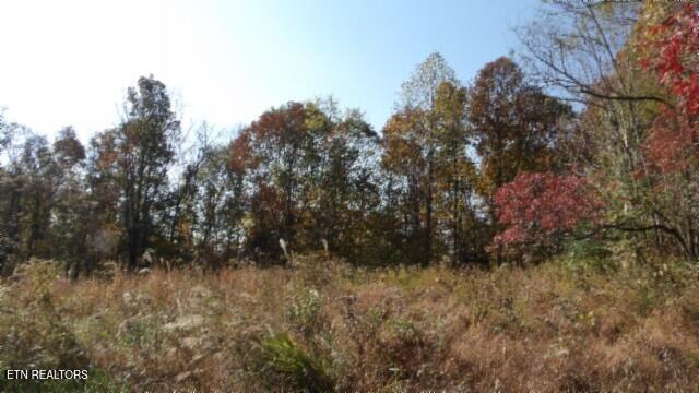 8.60AC Moss Arcot Road Celina TN 38551