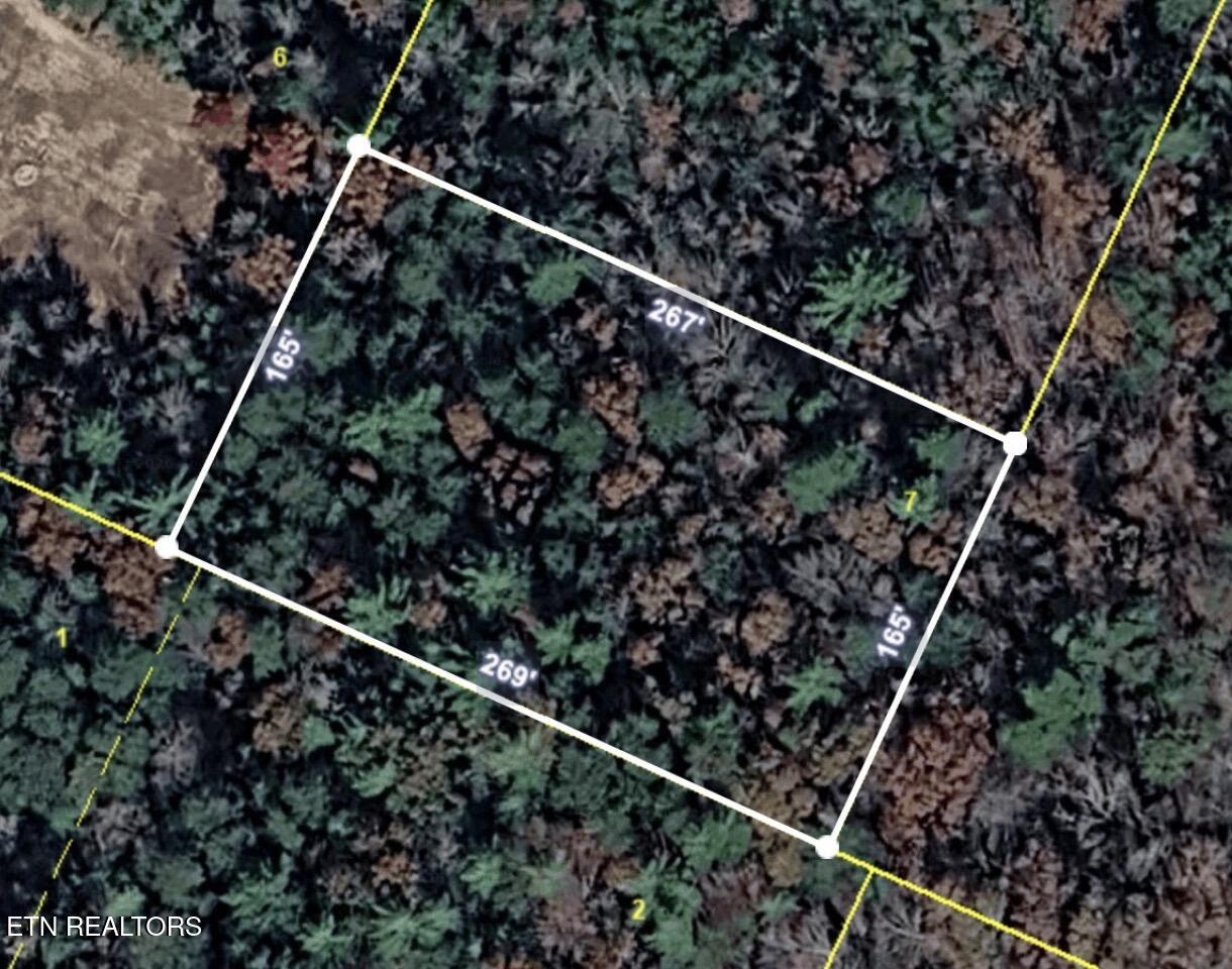 Lower Smithfield Road Tellico Plains TN 37385