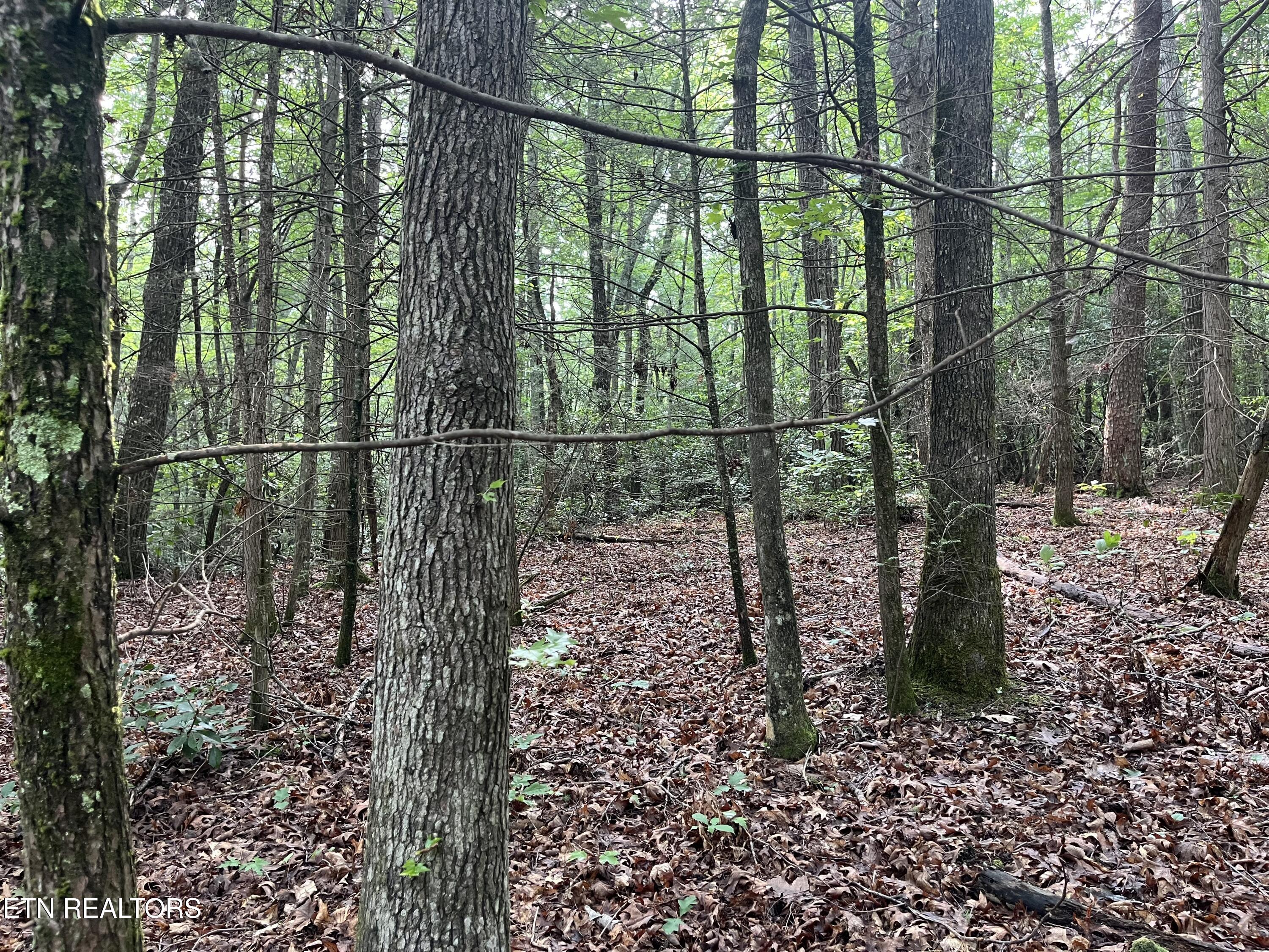 Lower Smithfield Road Tellico Plains TN 37385