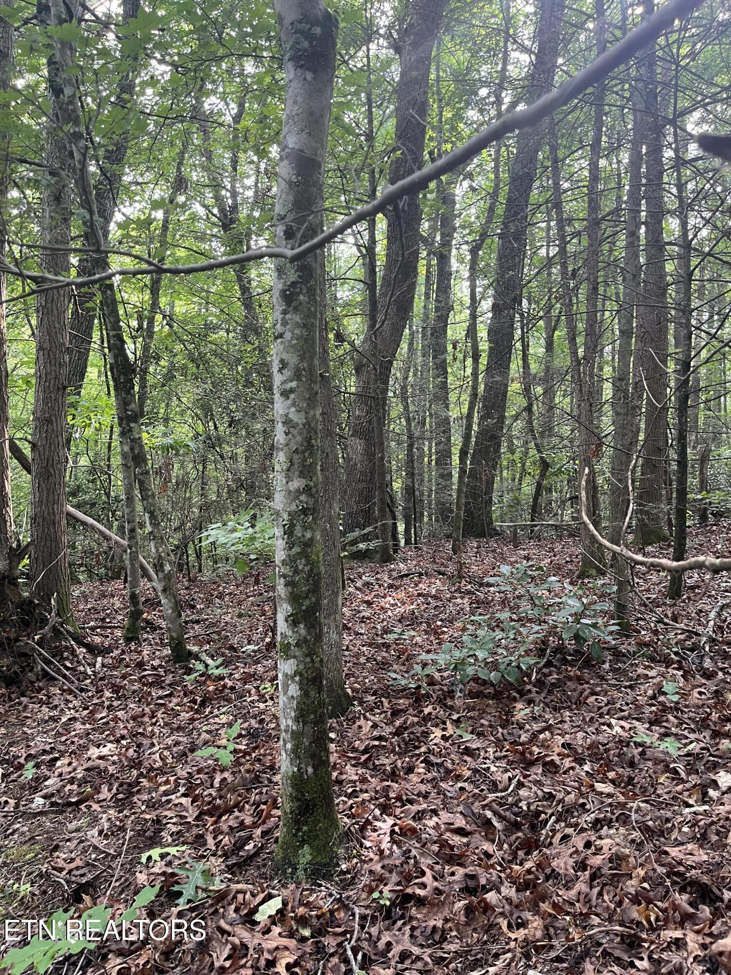 Lower Smithfield Road Tellico Plains TN 37385