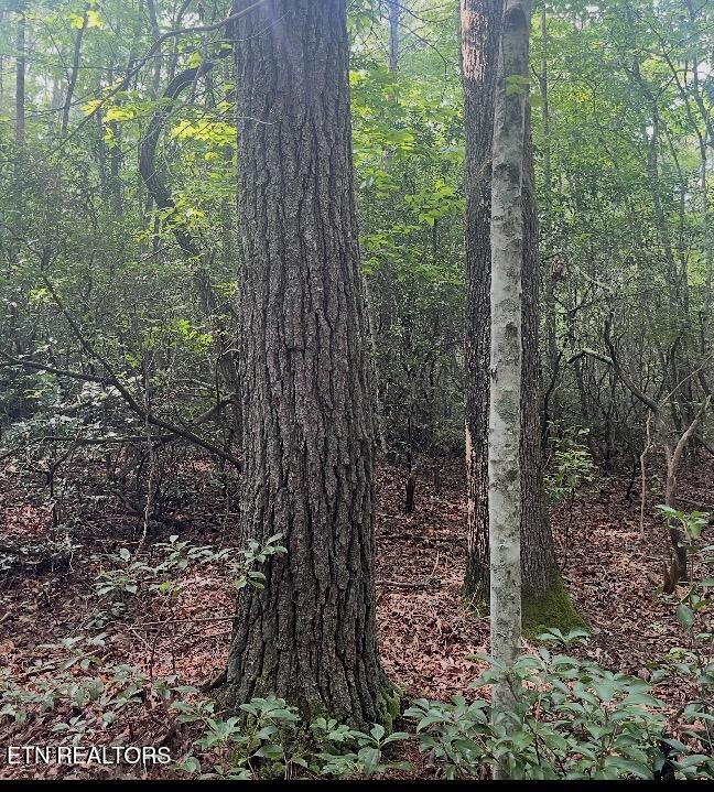 Lower Smithfield Road Tellico Plains TN 37385