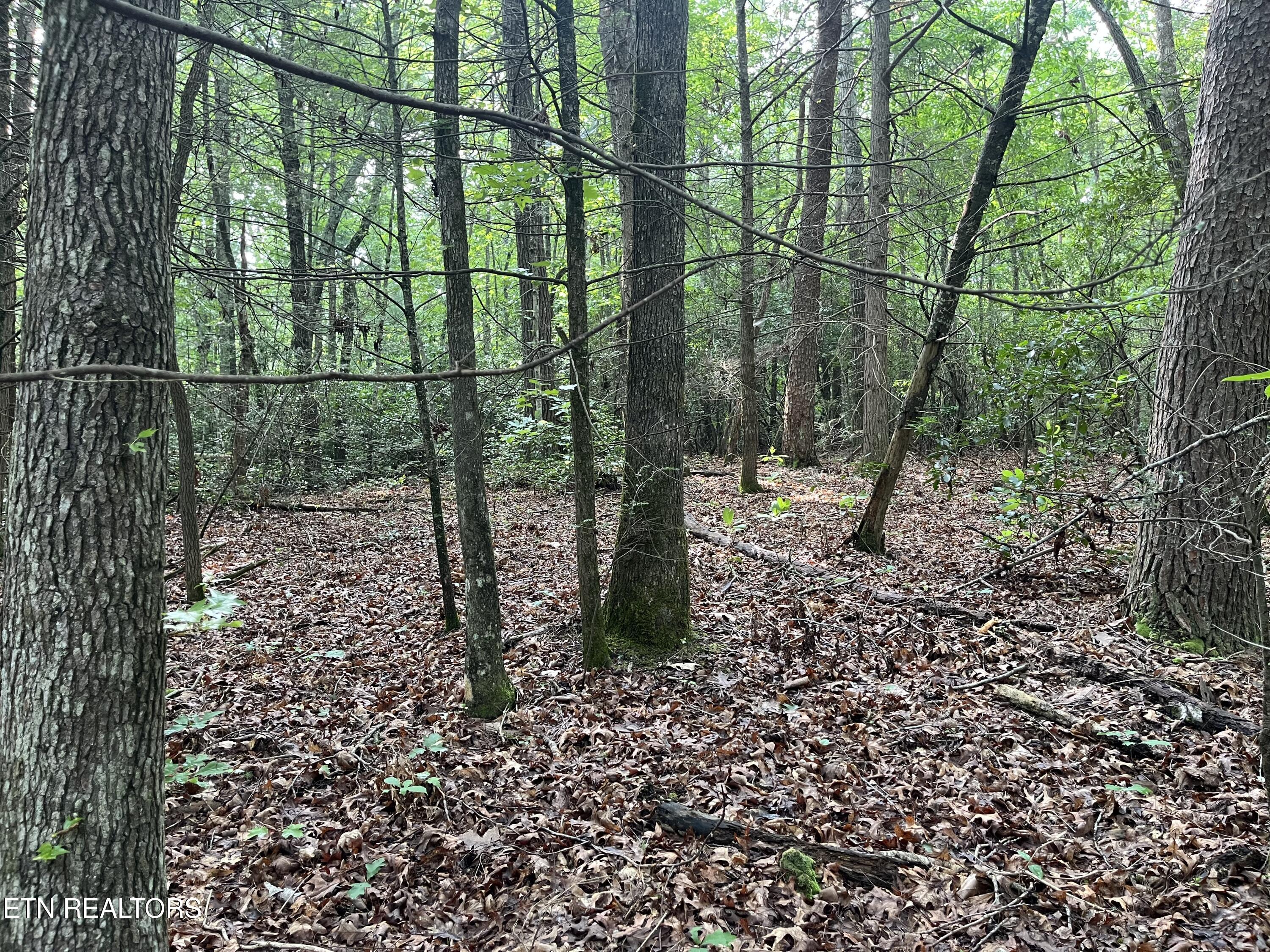 Lower Smithfield Road Tellico Plains TN 37385