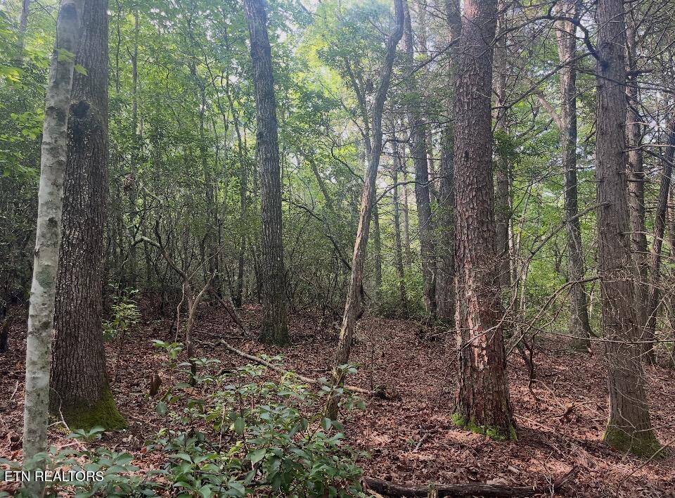 Lower Smithfield Road Tellico Plains TN 37385