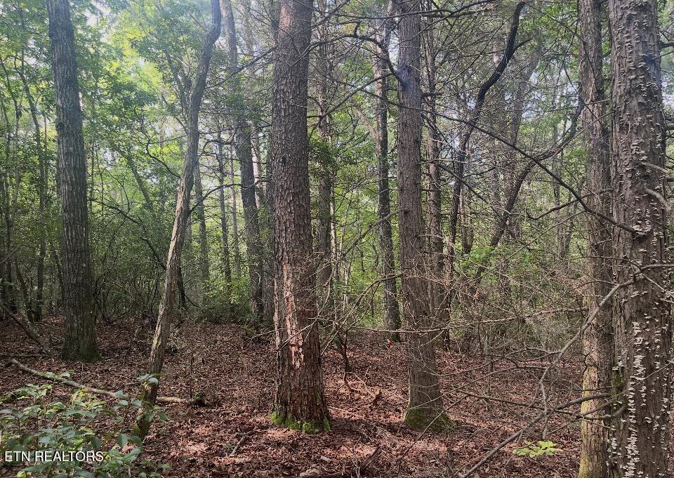 Lower Smithfield Road Tellico Plains TN 37385