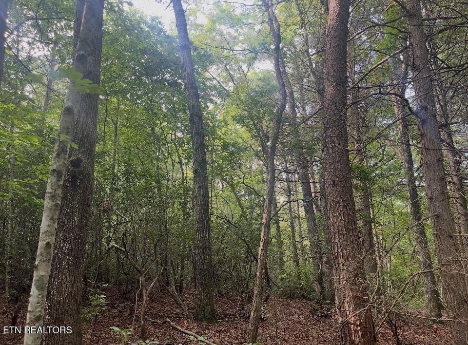 Lower Smithfield Road Tellico Plains TN 37385