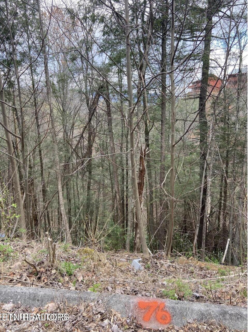 Lot #76 Smoky Ridge Way Sevierville TN 37862