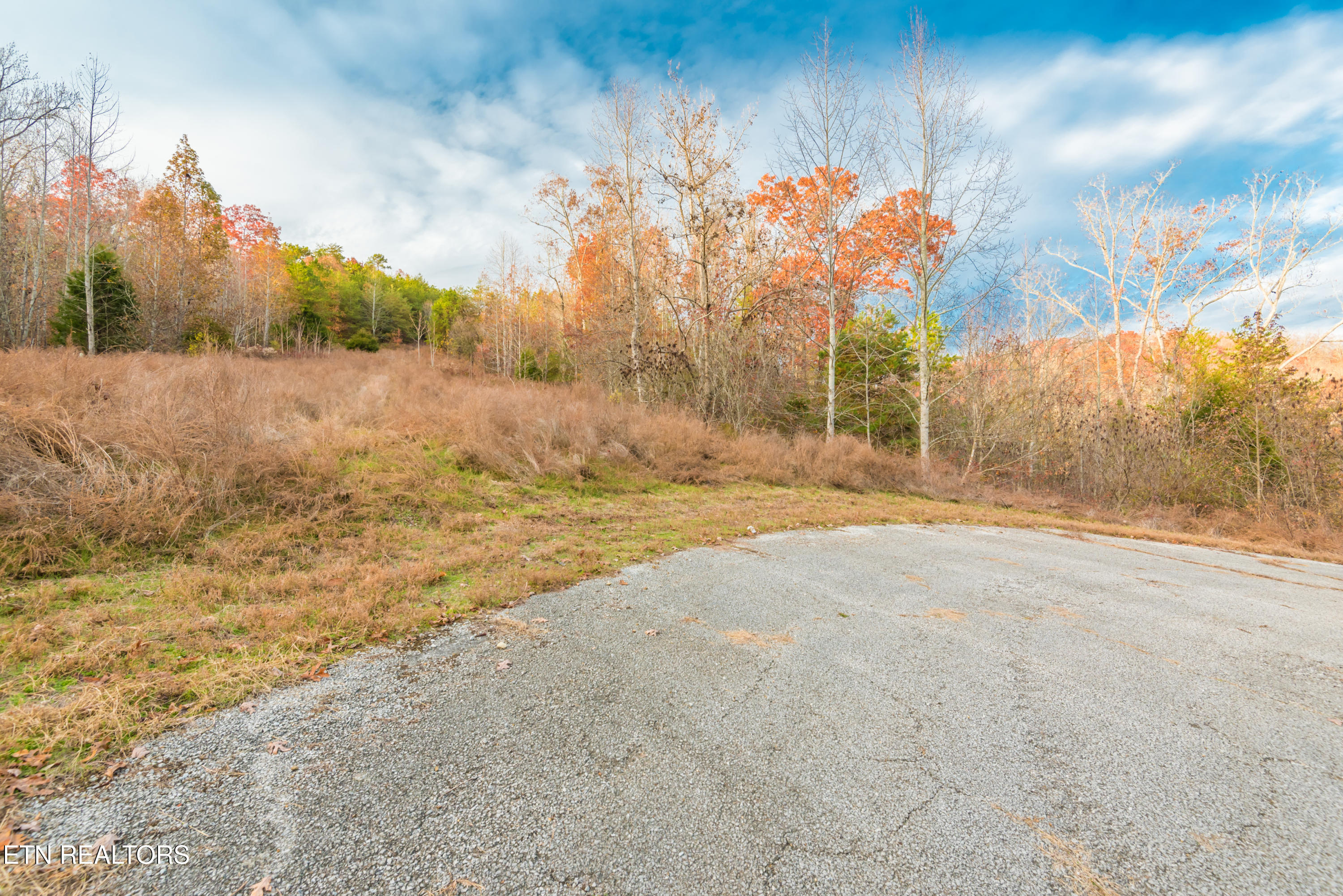 Bluegreen Way Rockwood TN 37854
