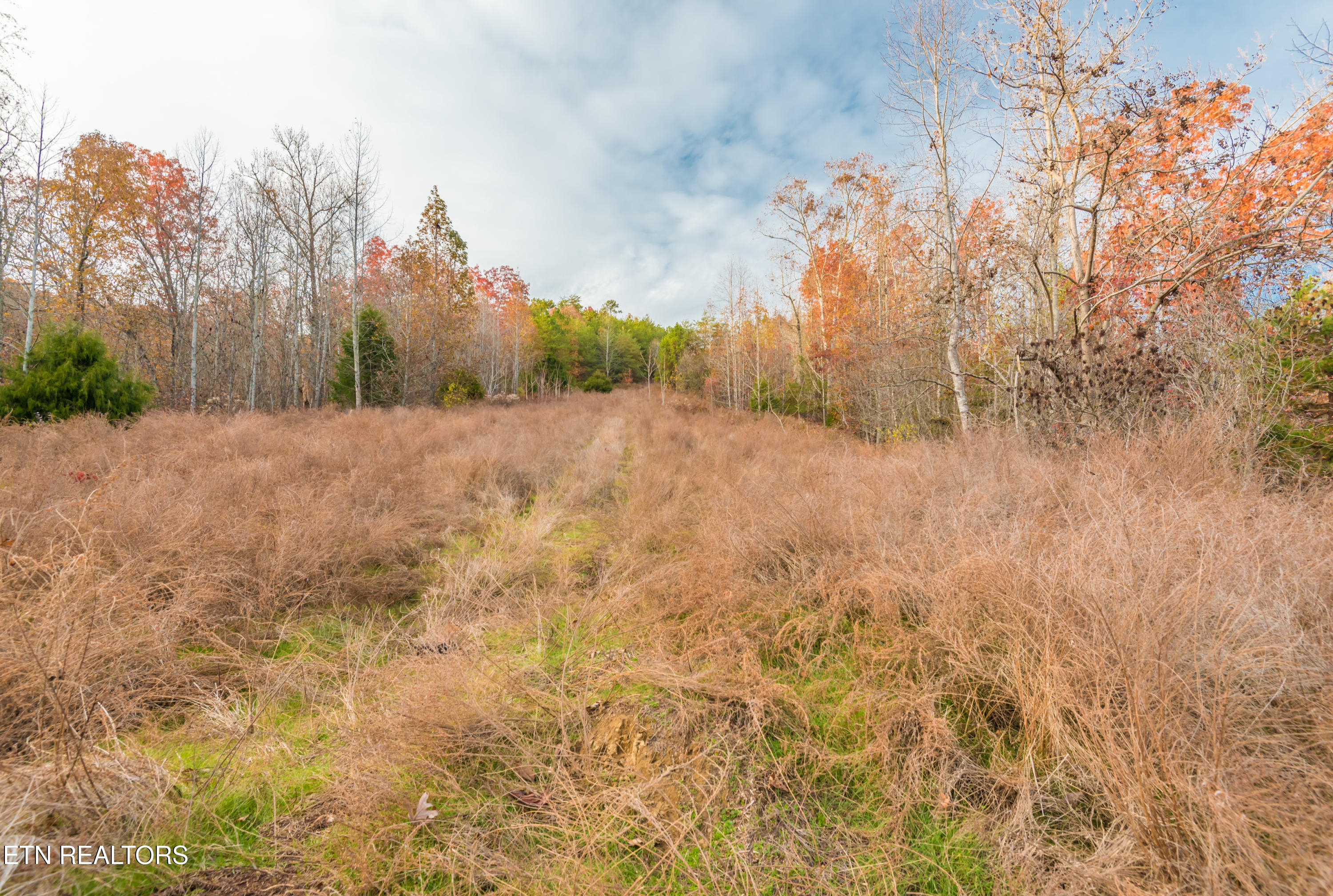 Bluegreen Way Rockwood TN 37854