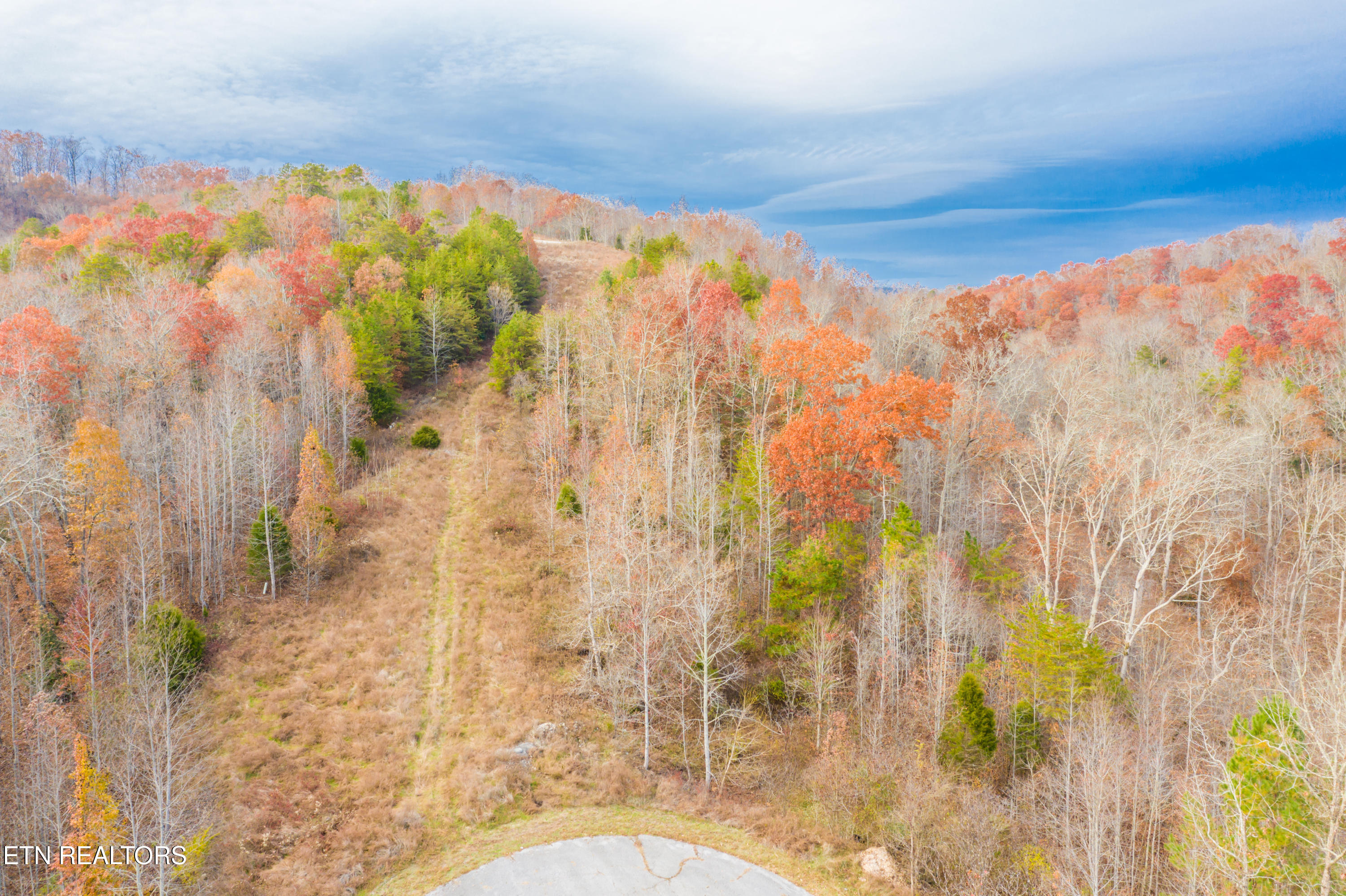 Bluegreen Way Rockwood TN 37854