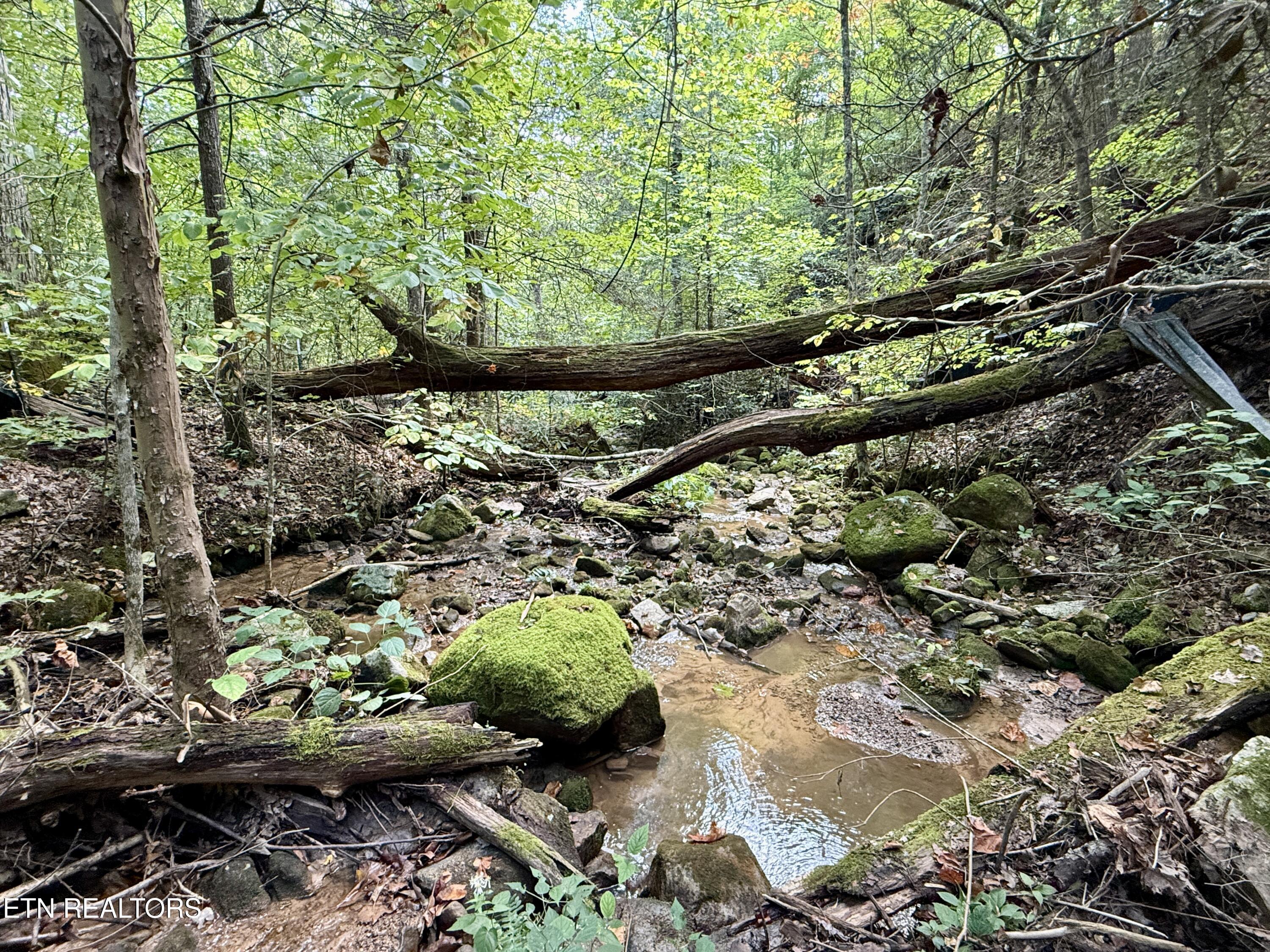 154 Summit Trails Drive Sevierville TN 37862