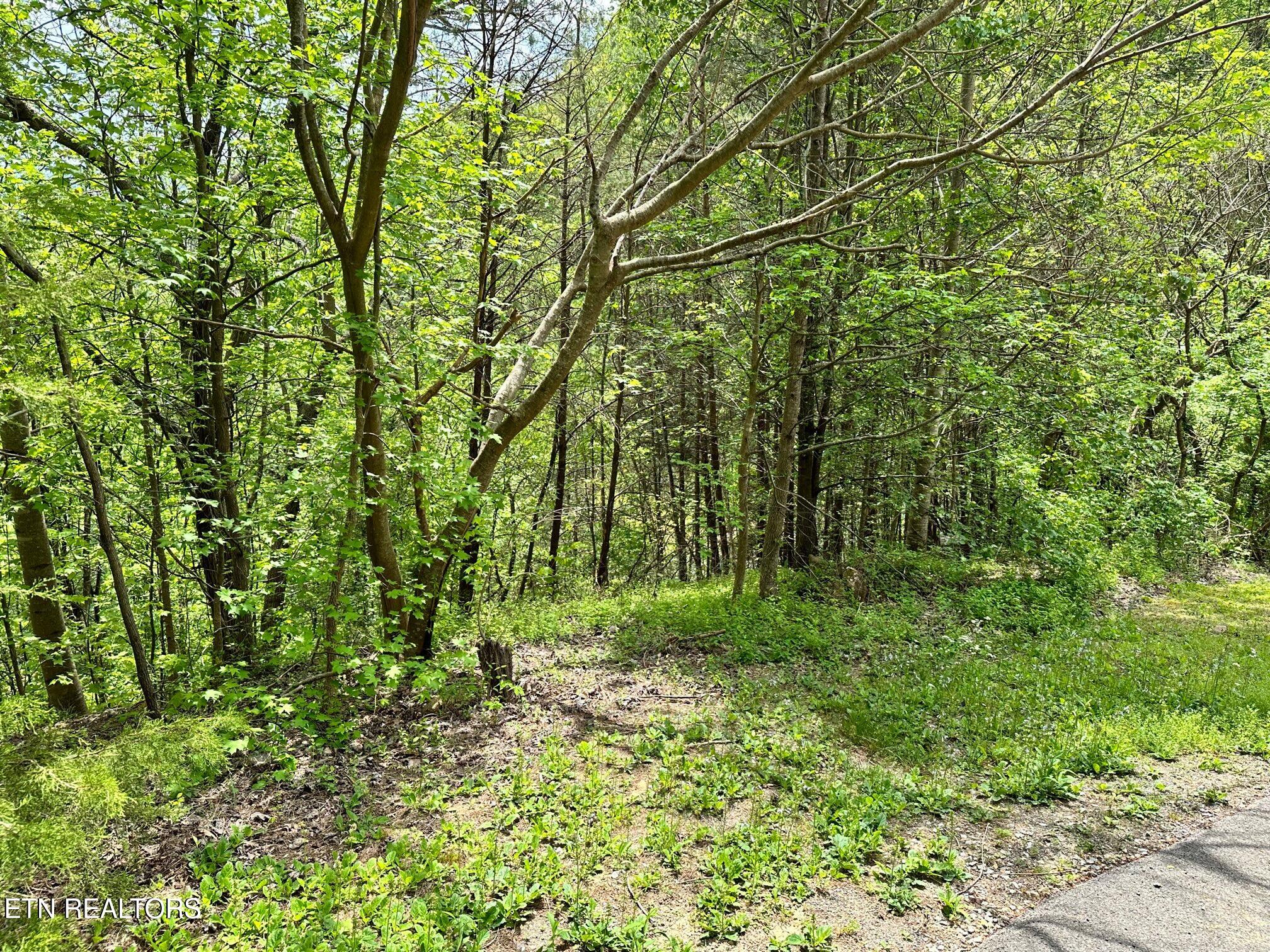 1430 Mountain Dreams Way Sevierville TN 37862