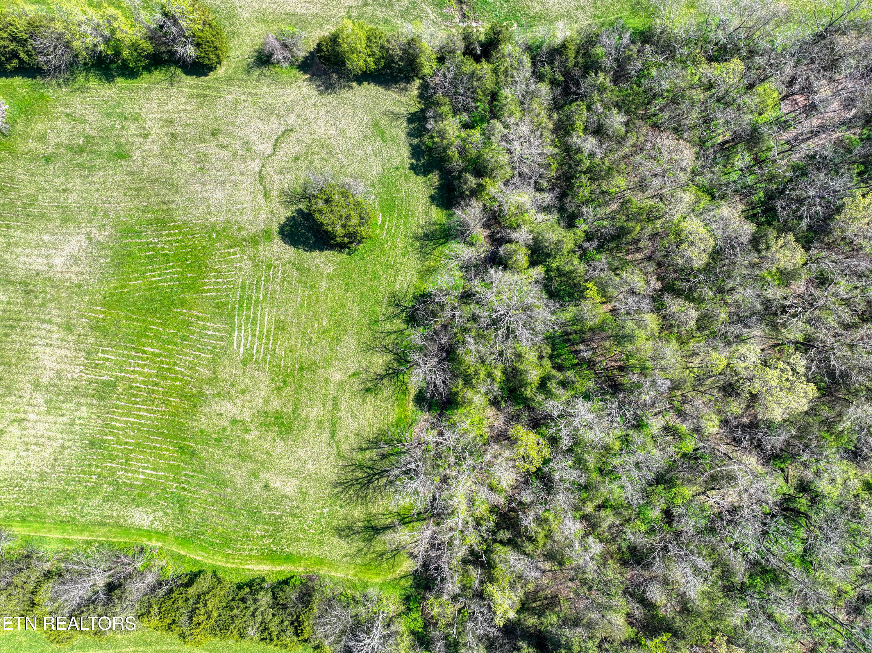 8405 Washington Pike Corryton TN 37721