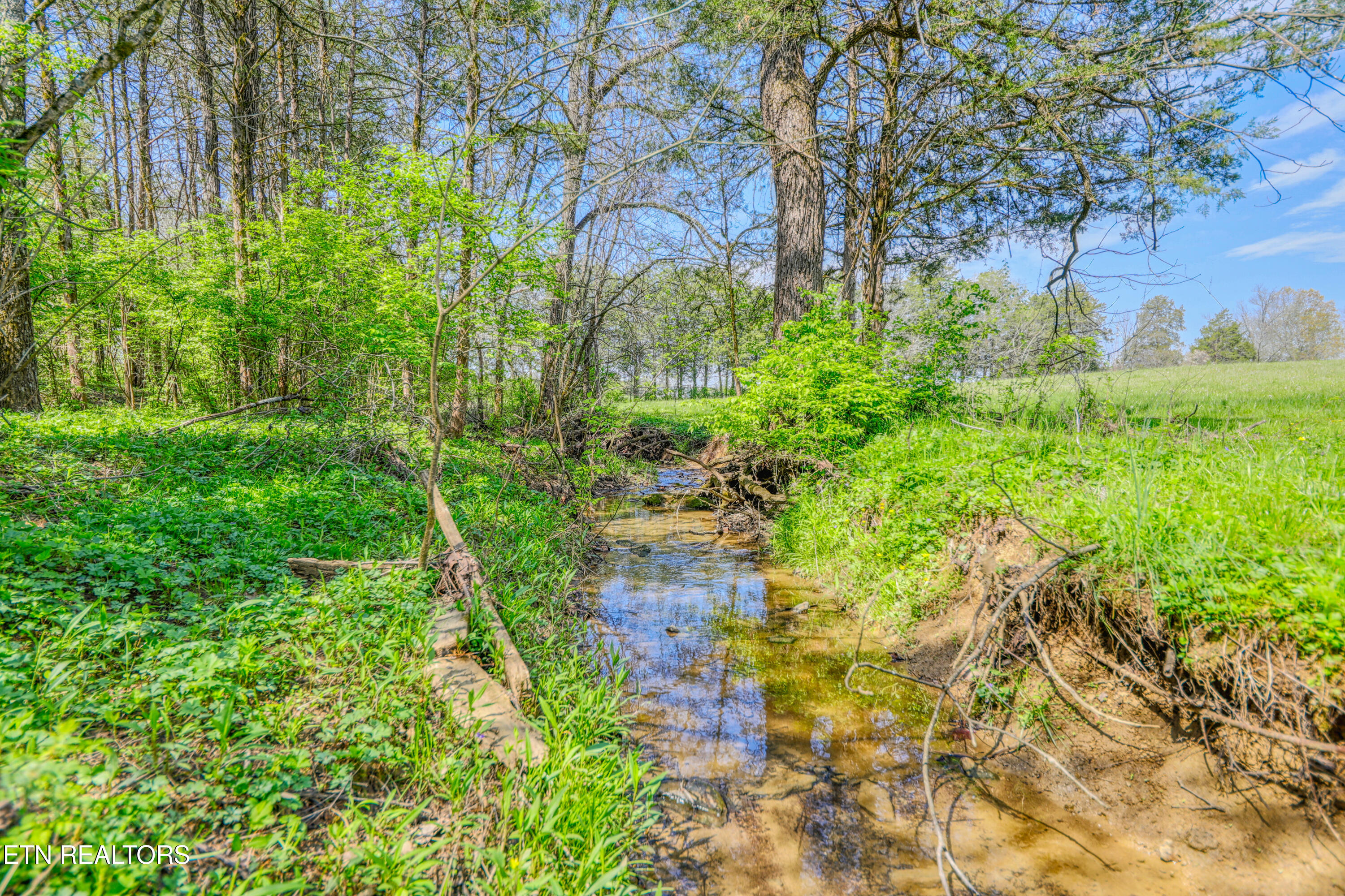 8405 Washington Pike Corryton TN 37721