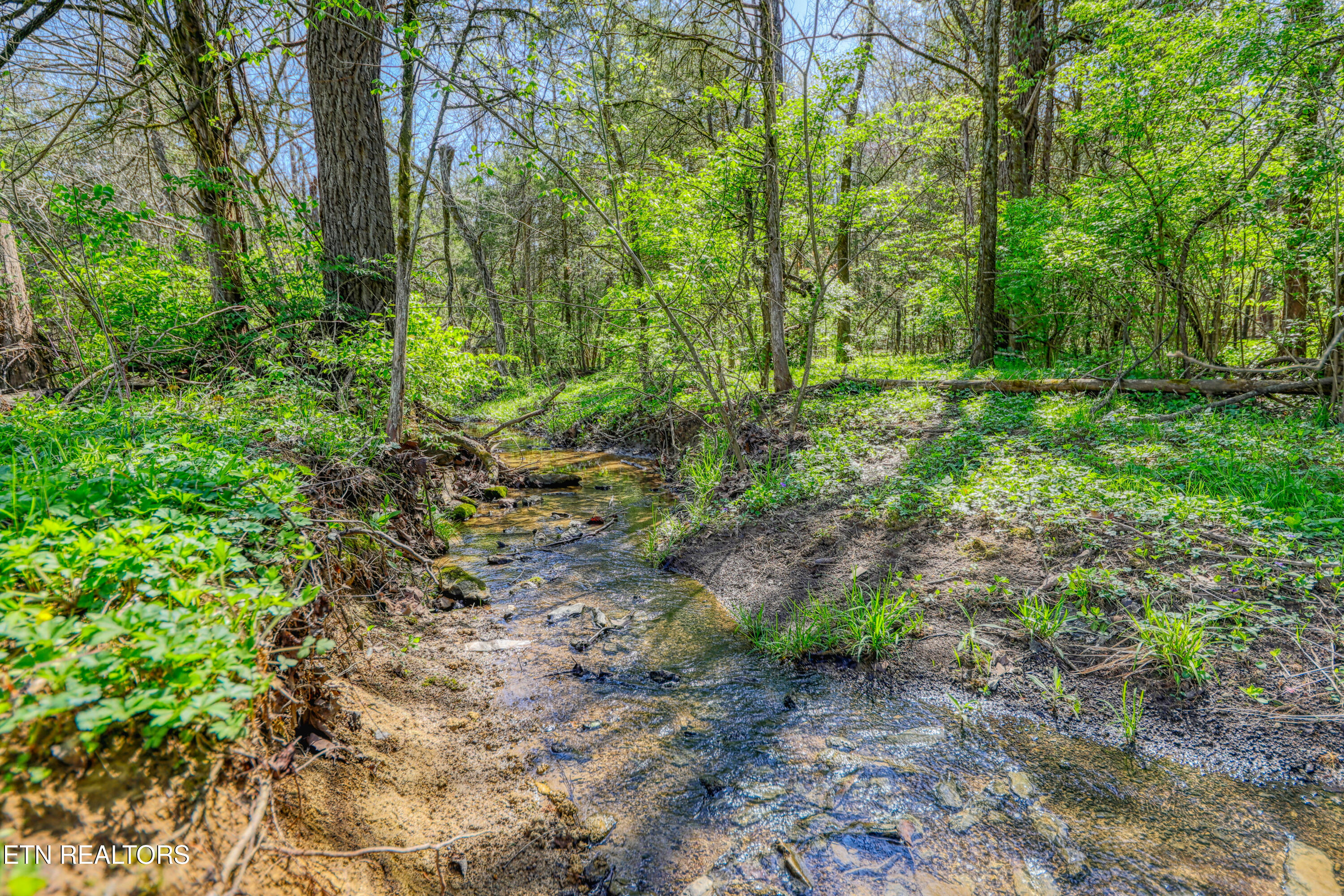 8405 Washington Pike Corryton TN 37721