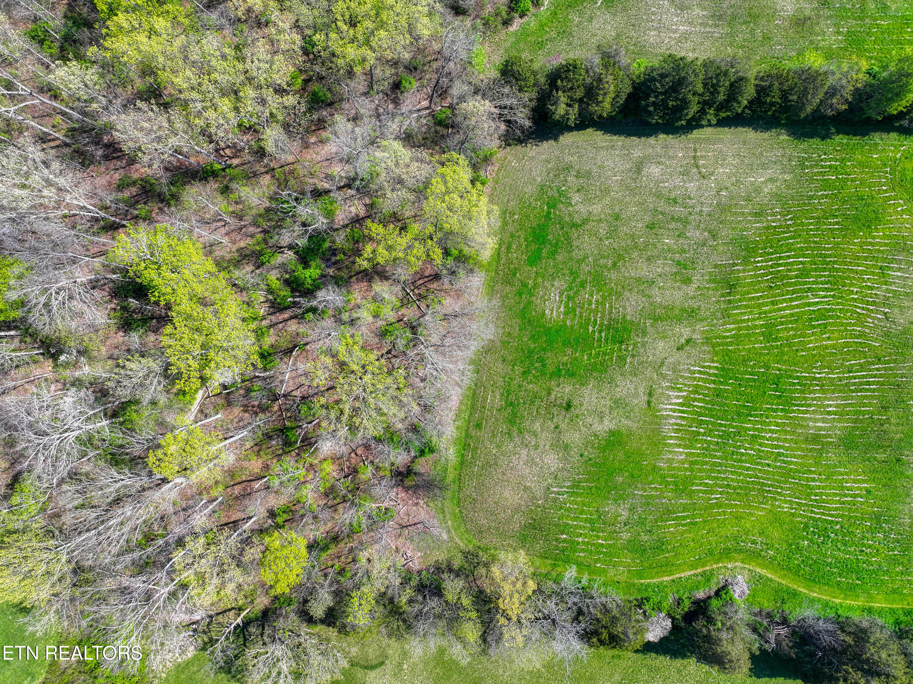 8405 Washington Pike Corryton TN 37721