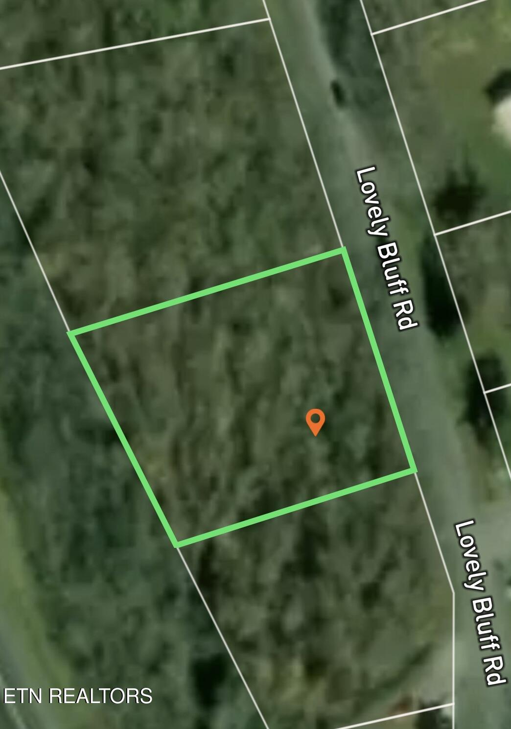 Lovely Bluff Road Rocky Top TN 37769