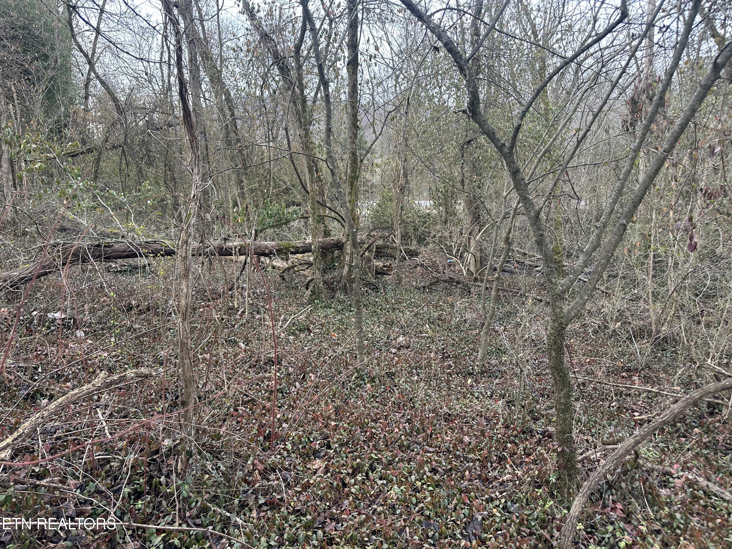 Lovely Bluff Road Rocky Top TN 37769
