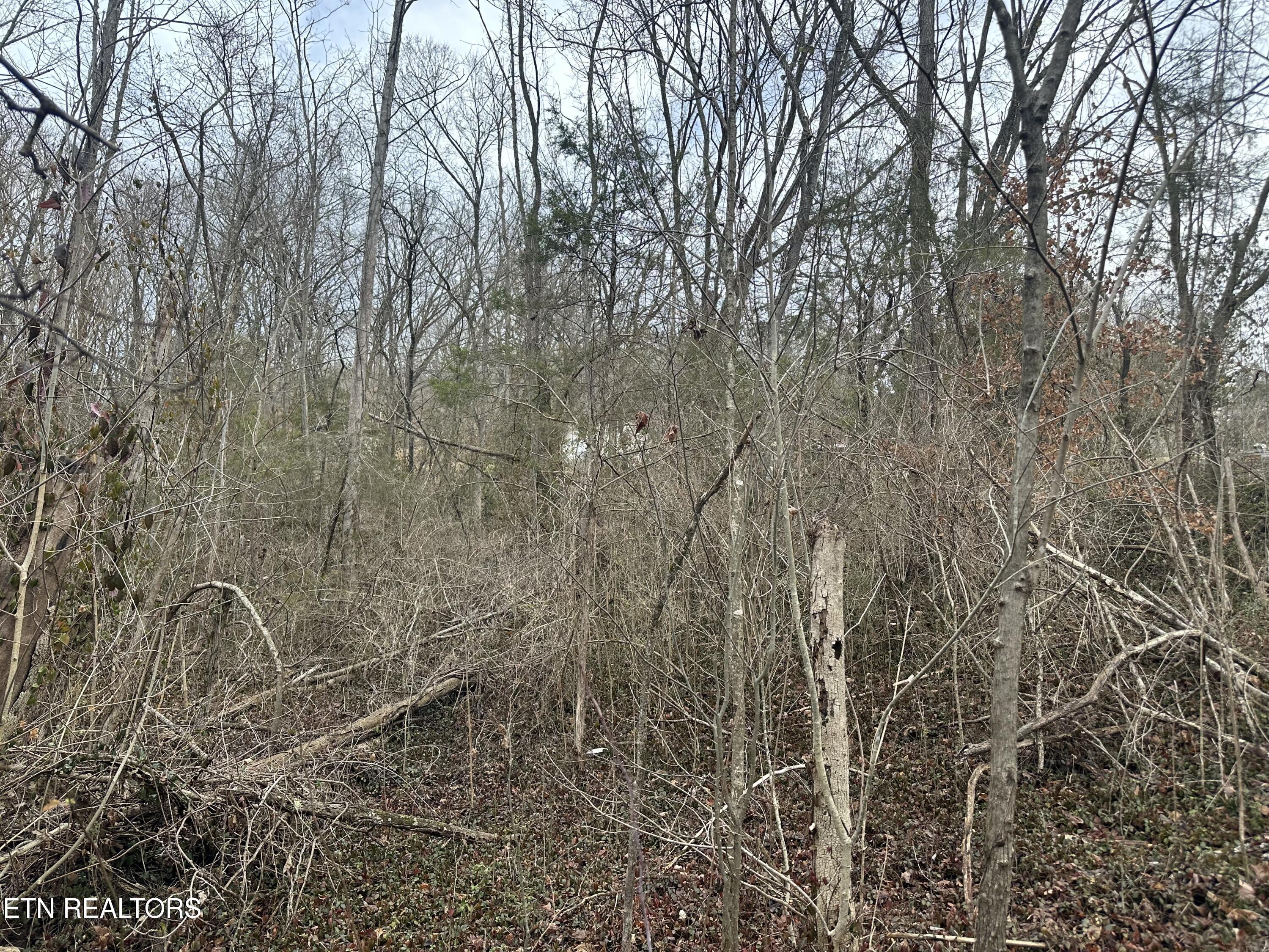 Lovely Bluff Road Rocky Top TN 37769