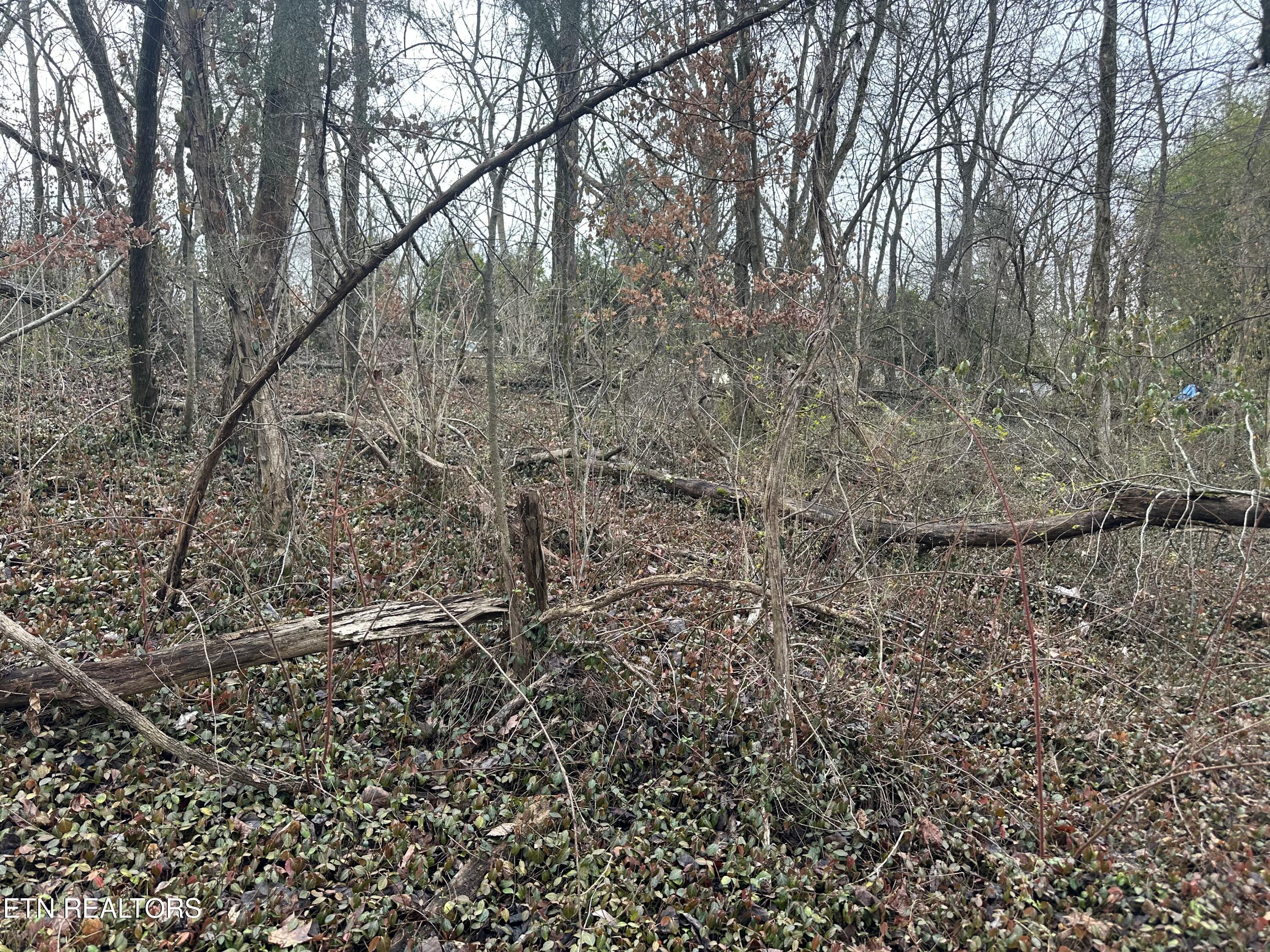 Lovely Bluff Road Rocky Top TN 37769