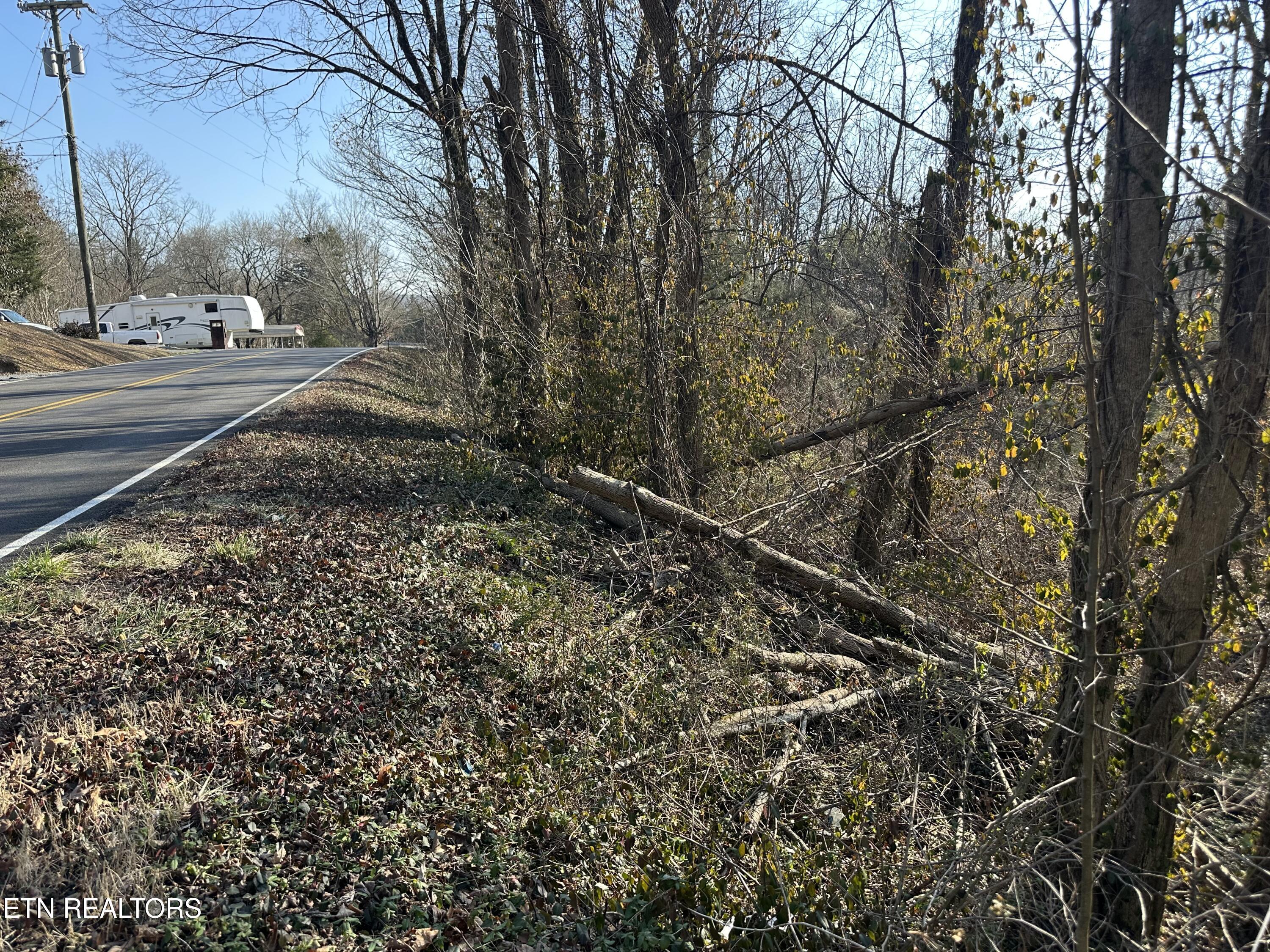 Lovely Bluff Road Rocky Top TN 37769