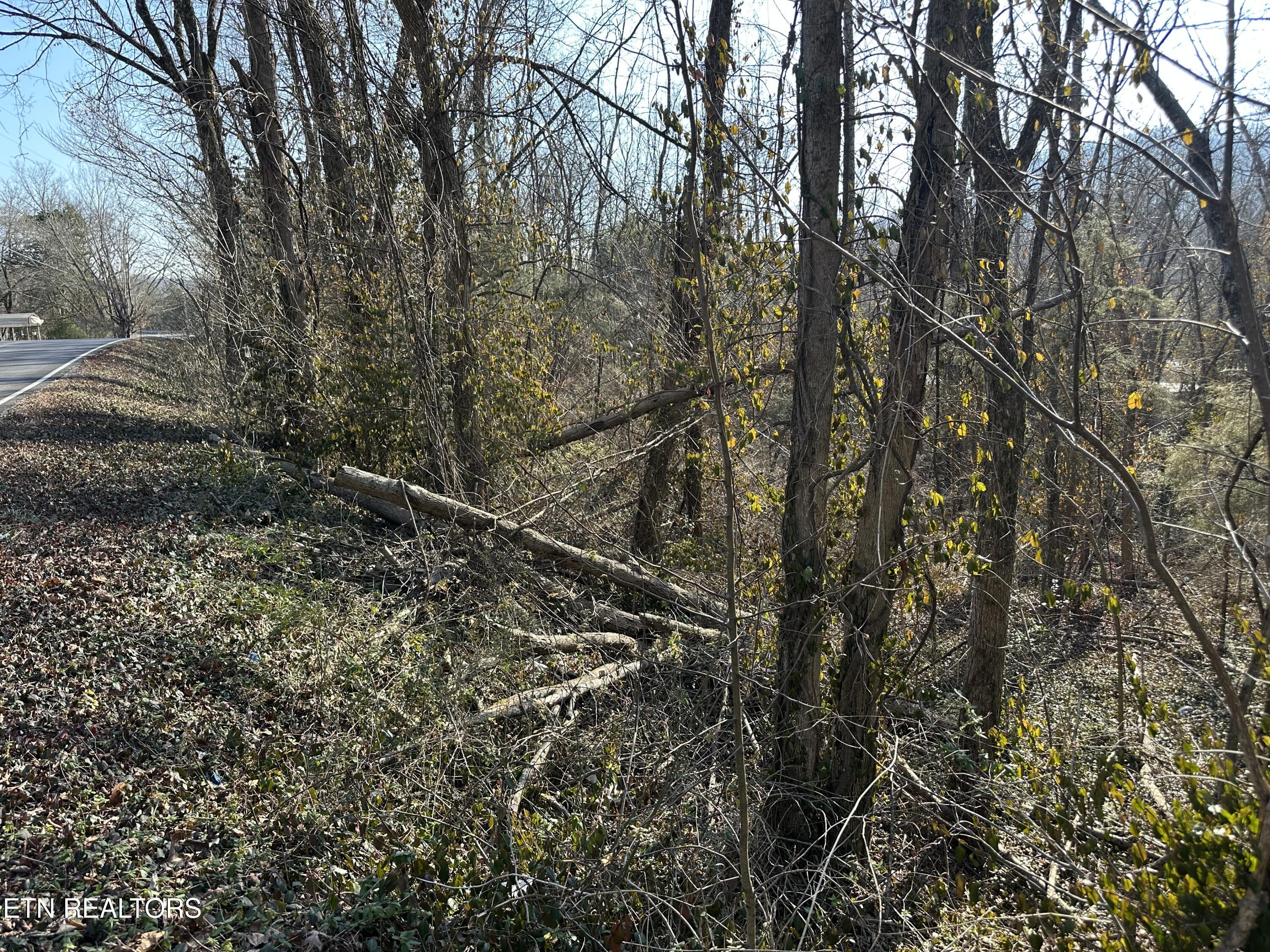 Lovely Bluff Road Rocky Top TN 37769