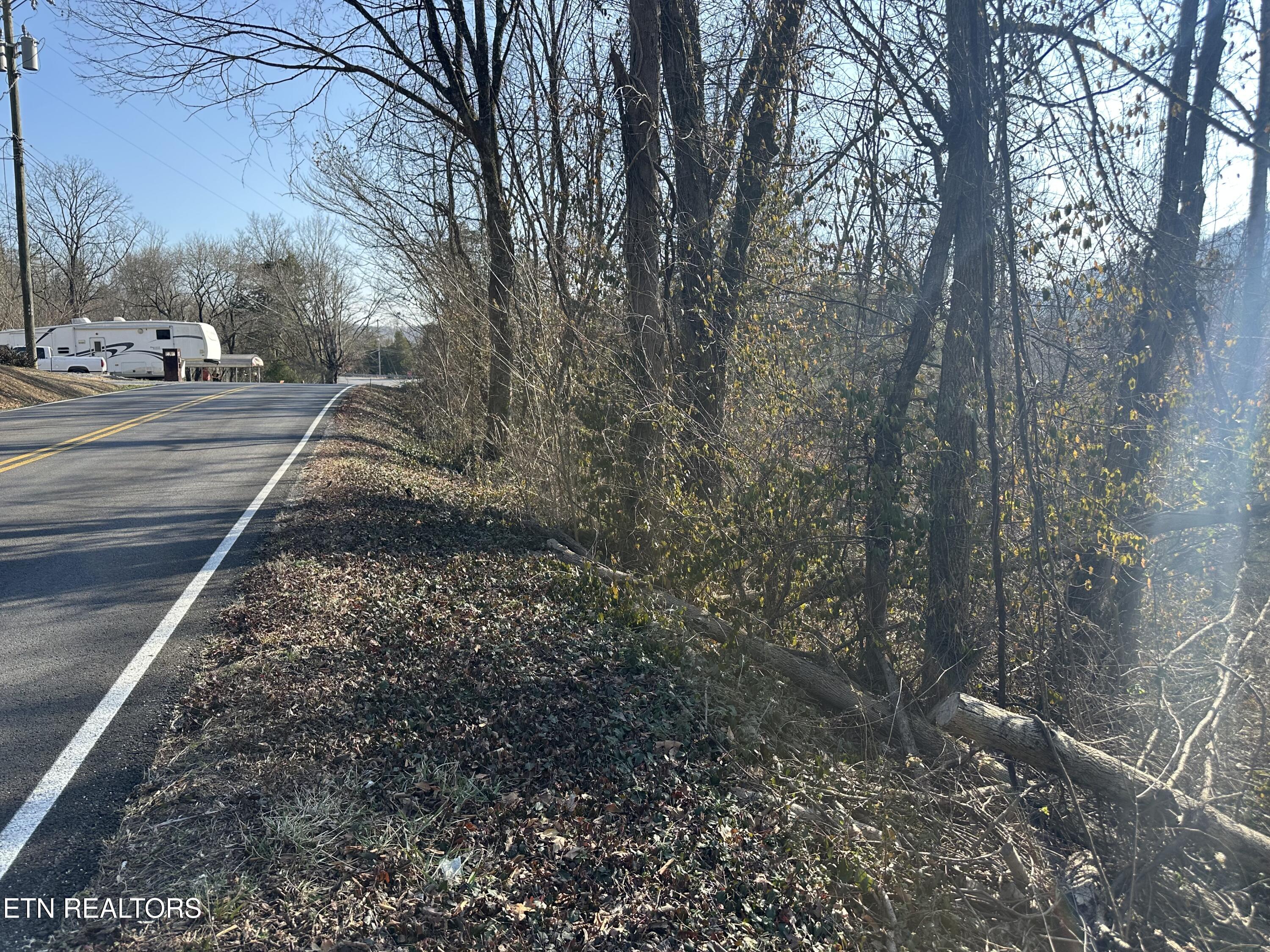 Lovely Bluff Road Rocky Top TN 37769