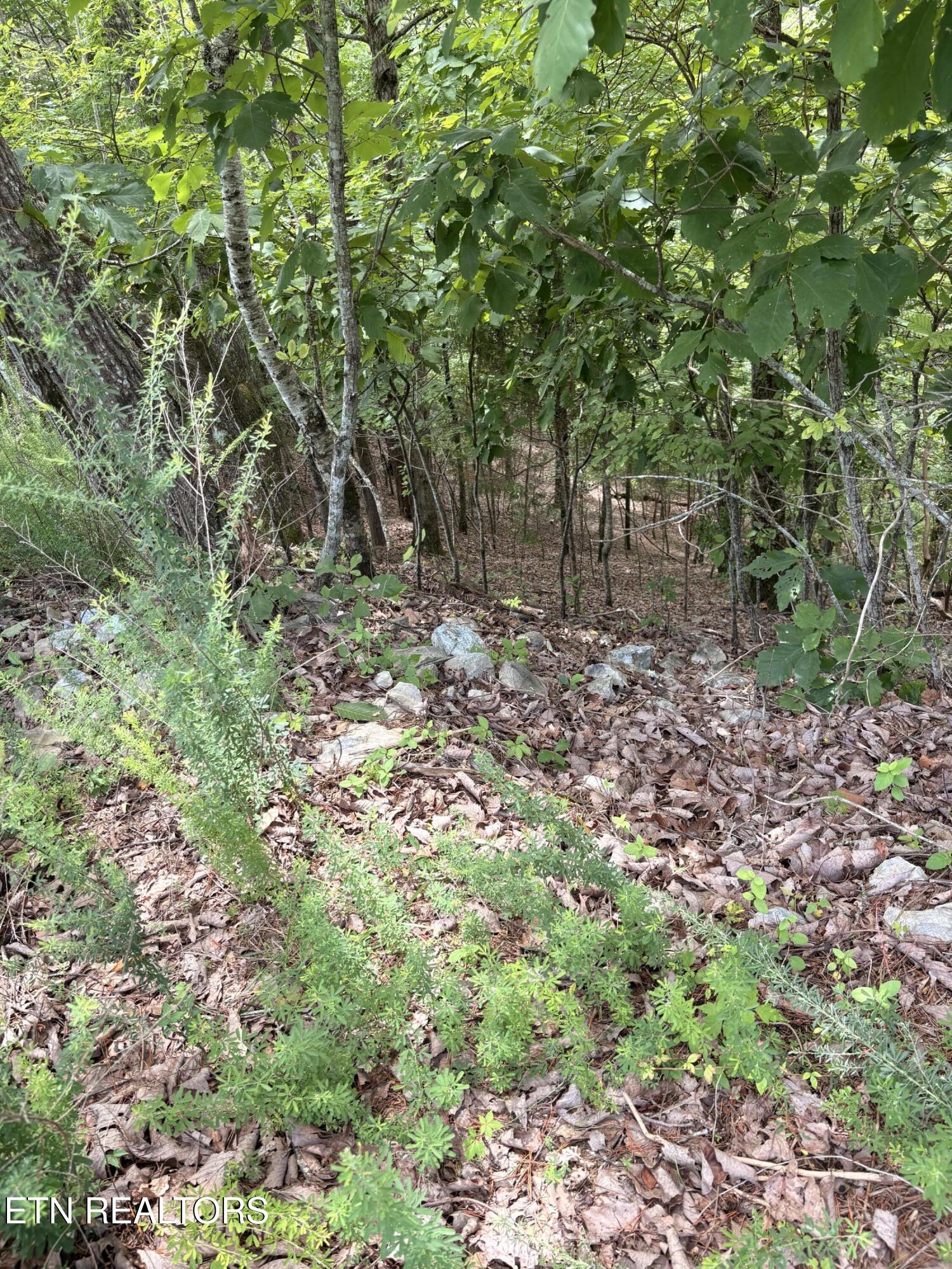 Flint Ridge Road, Lot 417 Rockwood TN 37854
