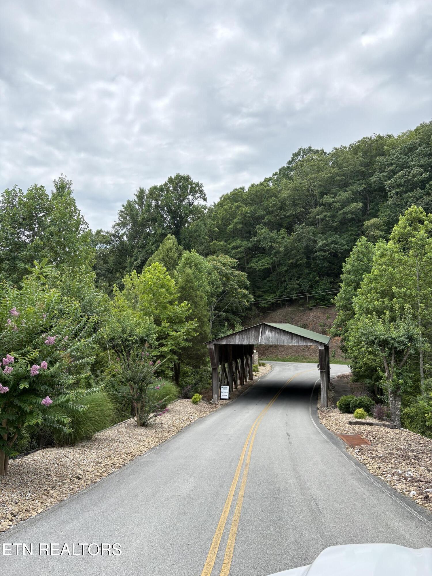 Flint Ridge Road, Lot 417 Rockwood TN 37854