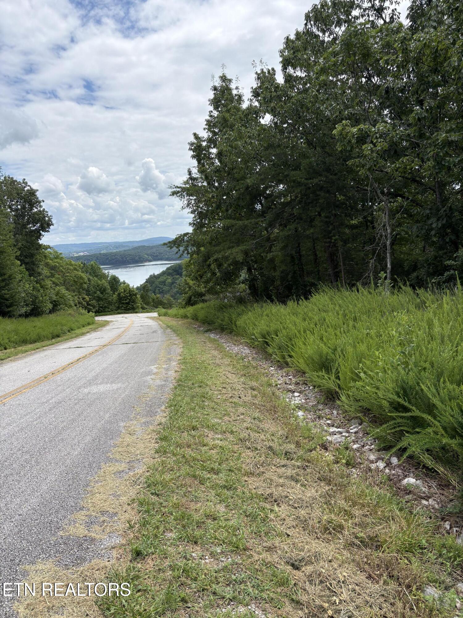 Flint Ridge Road, Lot 417 Rockwood TN 37854
