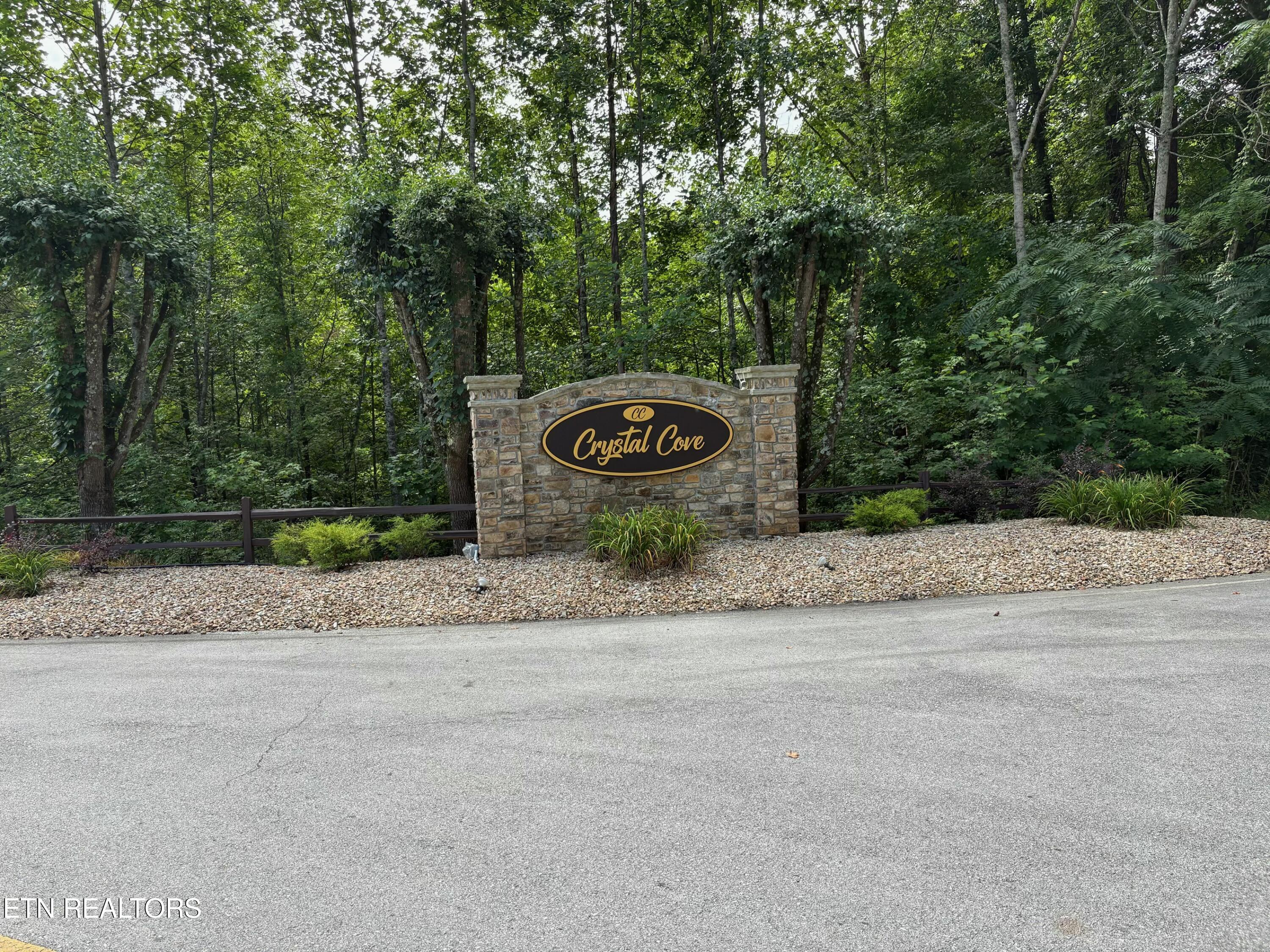 Flint Ridge Road, Lot 417 Rockwood TN 37854