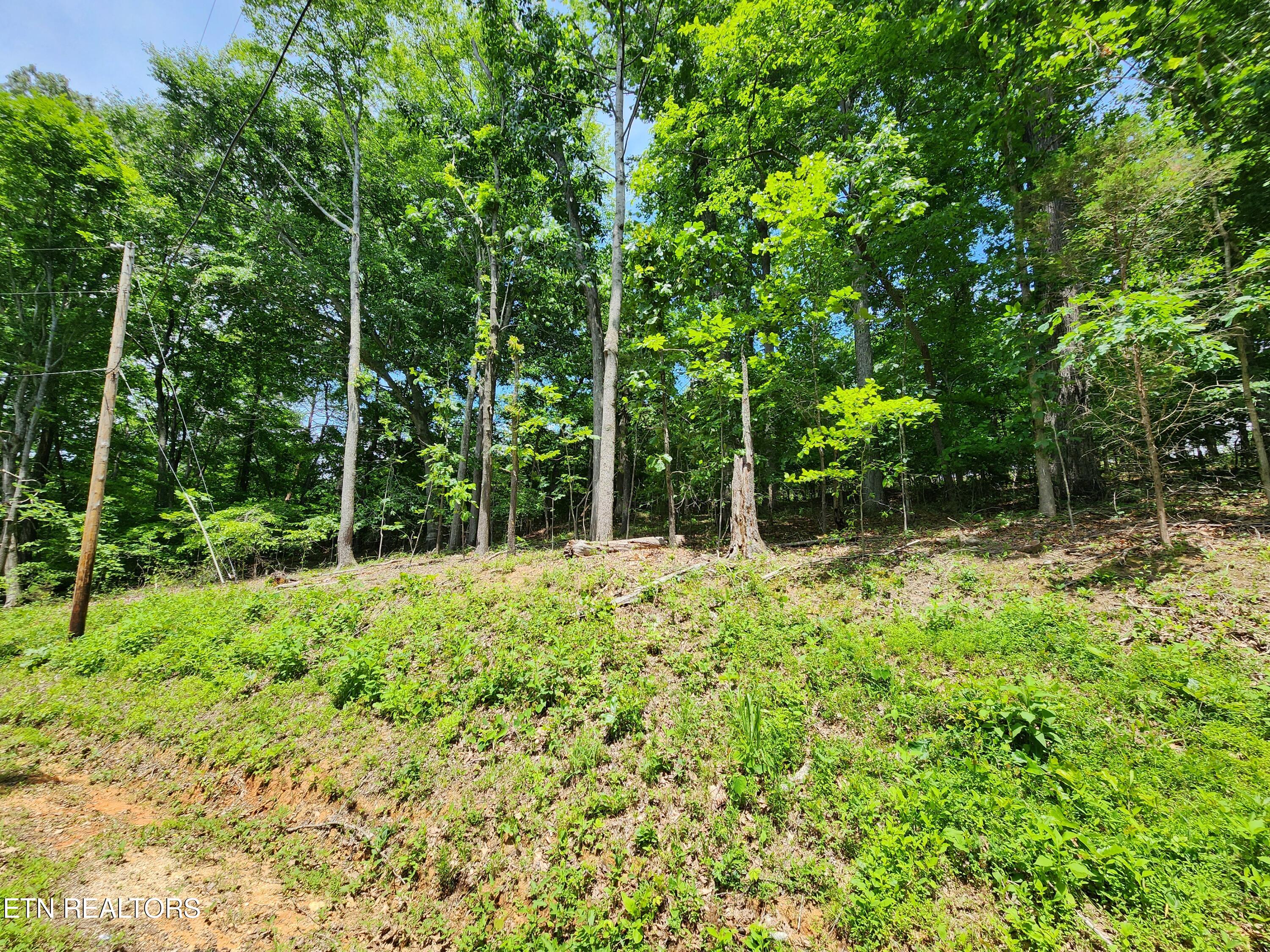 Hiwassee Drive Jacksboro TN 37757