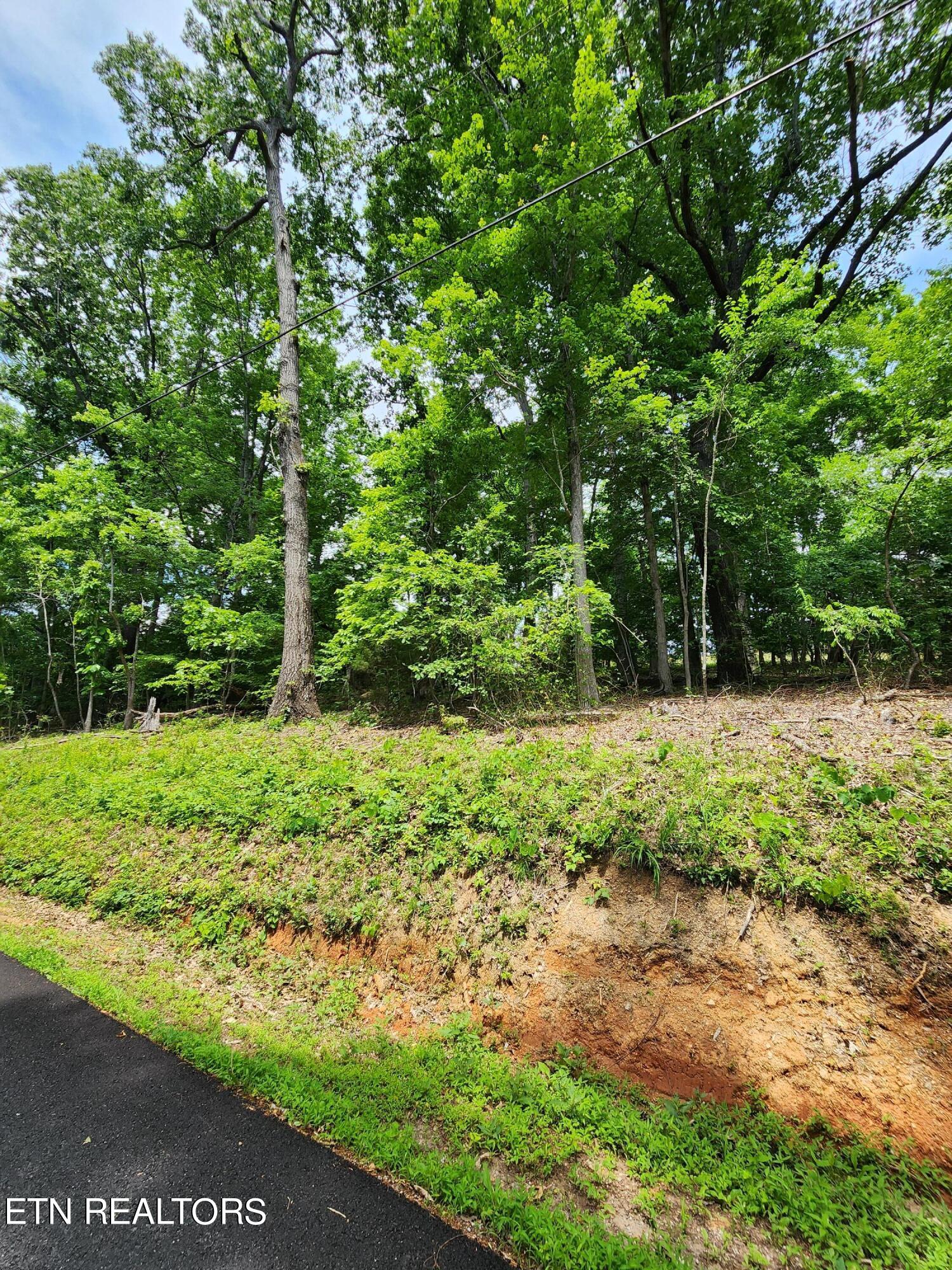 Hiwassee Drive Jacksboro TN 37757